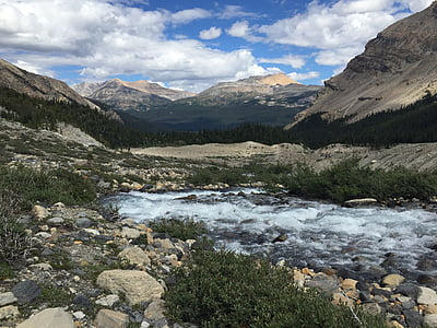 Banff, Scenic, vista, Río, Alberta, Canadá, montaña