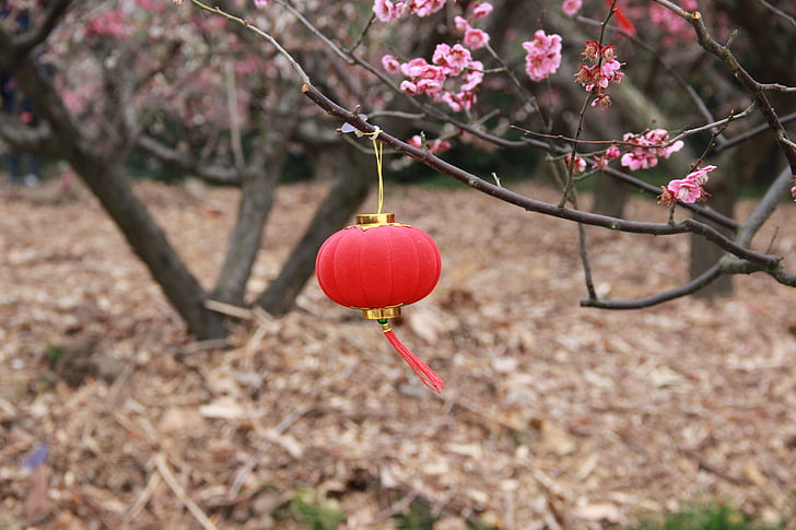 lanterna, flor de ameixa, elementos chineses