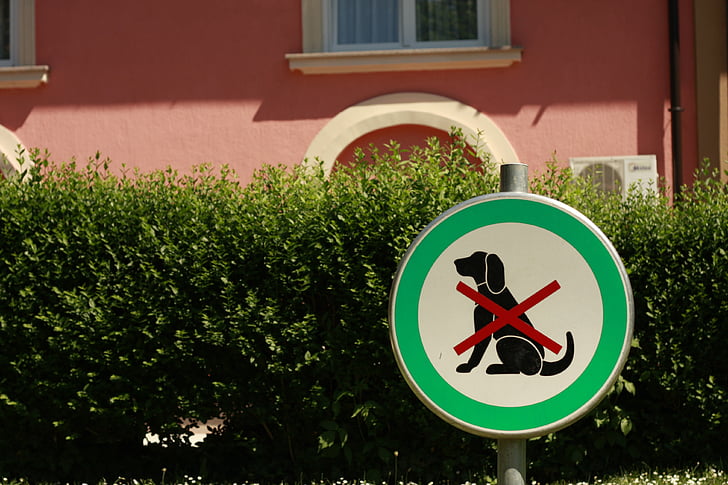 dog, sign, animal, message, icon, safety, identity