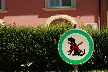 câine, semn, animale, mesaj, pictograma, siguranţă, identitate