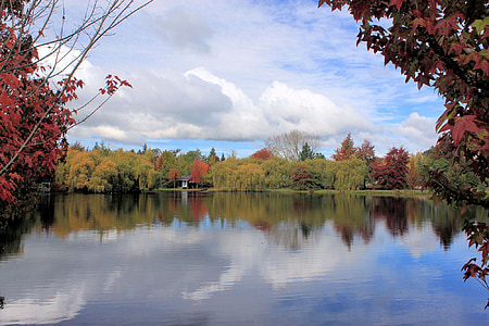 jezero, jesen, priroda, jesen, vode, drvo, odraz