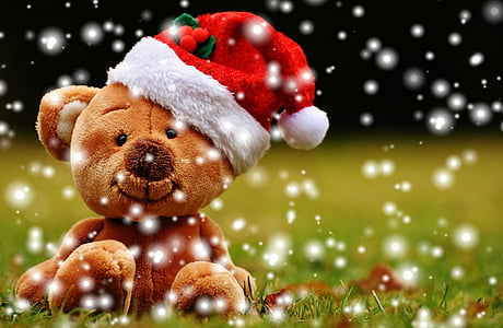 Weihnachten, Teddy, Stofftier, Weihnachtsmütze, lustig, Geschenk, Feier