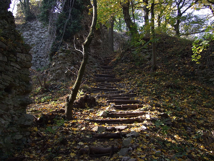 Eslovàquia, bosc, llum del sol, escales, Castell, ruïnes, tardor