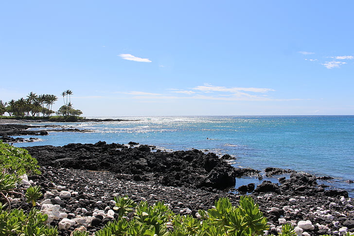 Hawaii, platja, oceà, Costa, platja de roques, Mar, riba
