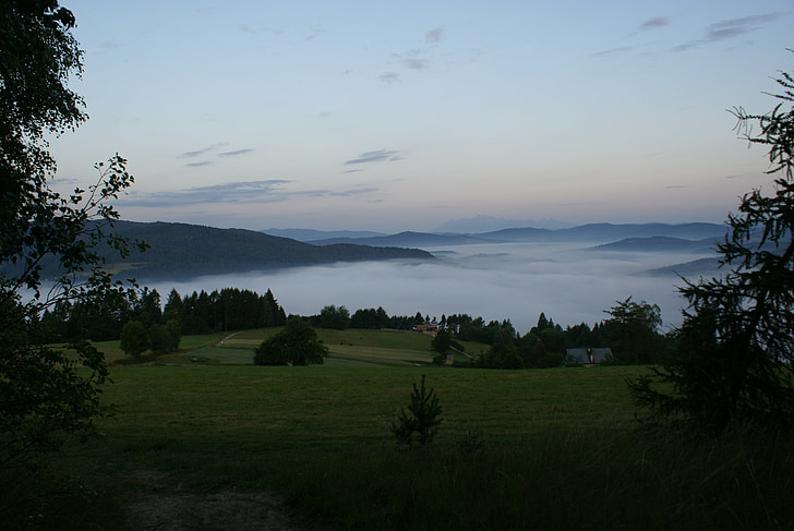 la niebla, Mañana, Por la mañana, Prado, montañas, Tatry, Muszyna