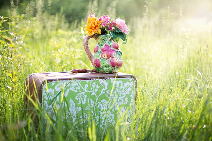 countryside, flowers, grass, meadow, pitcher of flowers, still life, suitcase