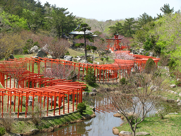Torii, màu đỏ, Miếu thờ, Nhật bản, Takayama inari, Châu á, nền văn hóa