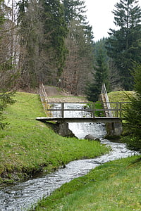 Forest, nature, arbre, eau, Bach, ruisseau, Güntersberge