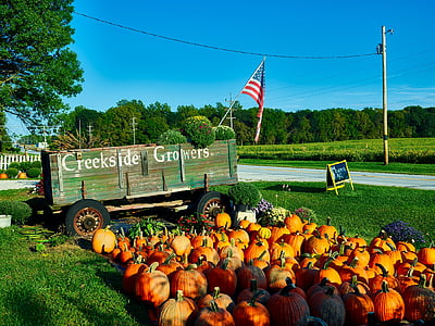 indiana, roadside, market, landscape, fall, autumn, pumpkins