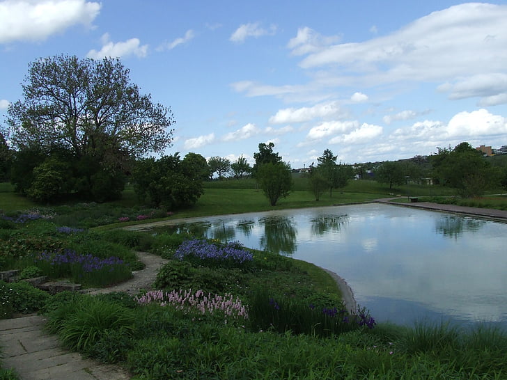 Parcul, parklandschaft, Lacul, Anglo Stuttgart, starea de spirit, natura, în aer liber