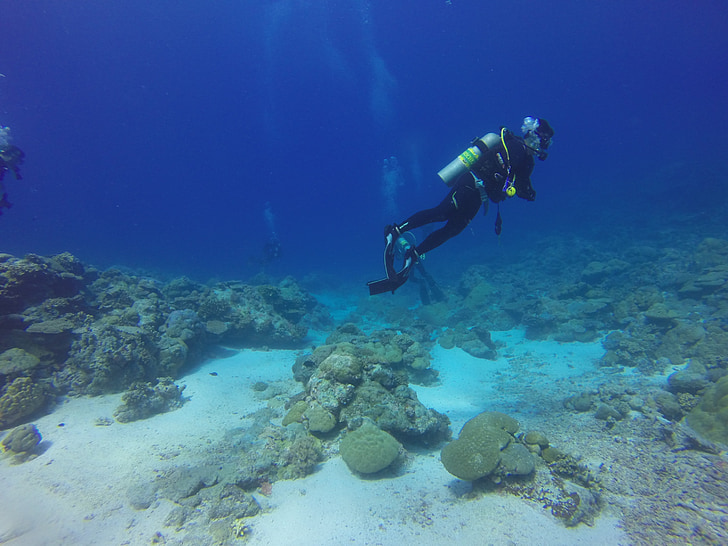 mergulho, mergulhador, cilindro de mergulho, Palau, mergulho, Scuba diver, debaixo d'água
