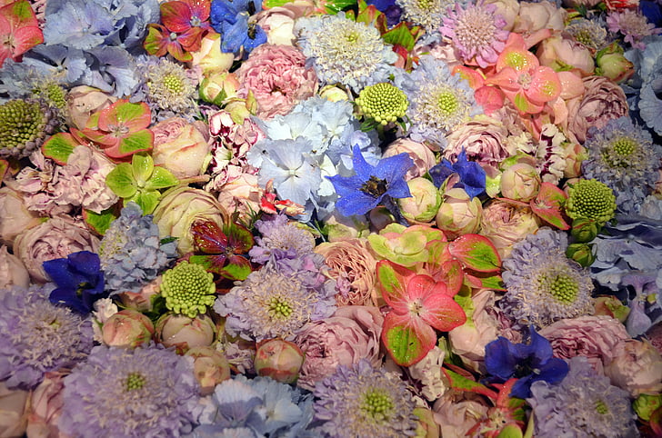 blütenmeer, Fondo, rosa, púrpura, violeta, verde, Mar de flores