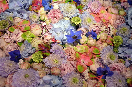 blütenmeer, tło, różowy, fioletowy, Violet, zielony, morze kwiaty
