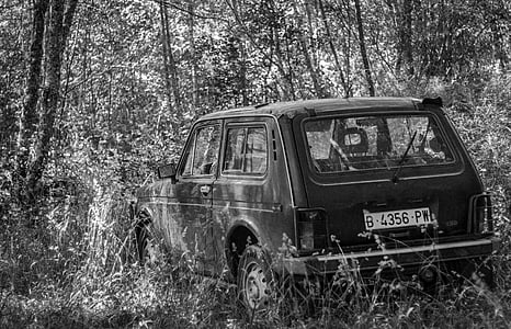 masina, abandonat, buruienilor, vechi, pădure, alb-negru