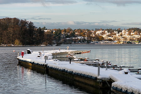 冬, 桟橋, 水, 自然, 風景, 雪, 湖