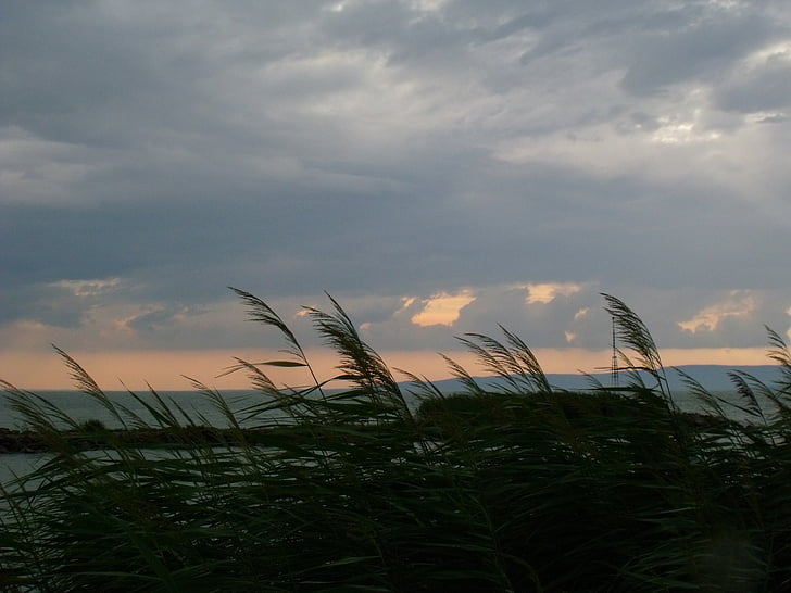 Reed, balaton Gölü, naplemenete, doğa