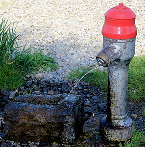 hidrants, font, l'aigua, flux, pedra, planta, riba pedres