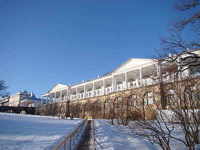 Дворецът ансамбъл Царское село, Русия, дворец, дървета, сянка, зимни, стълба