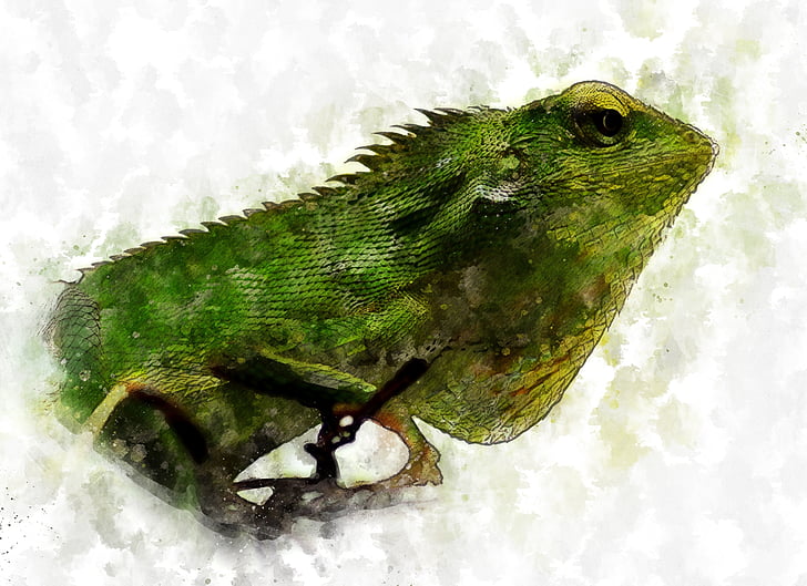 chameleon, reptile, lizard, animal, green, close up, watercolor