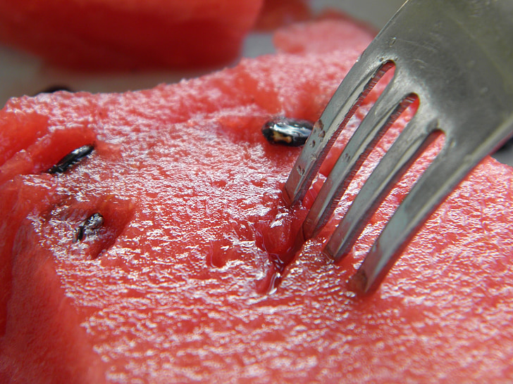 summer, watermelon, fork