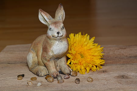 野兔, dekohase, 复活节兔子, 花, 开花, 绽放, dekoblume