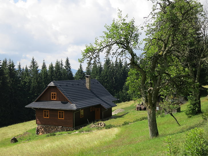 Cottage, maison, solitude, paysage, Meadow