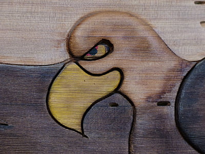 in legno, Foto, intaglio, Aquila calva, uccello, decorazione della parete, interni