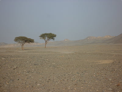 Egiptas, dykuma, vienišas, sausose, Sausra, kraštovaizdžio, Gamta
