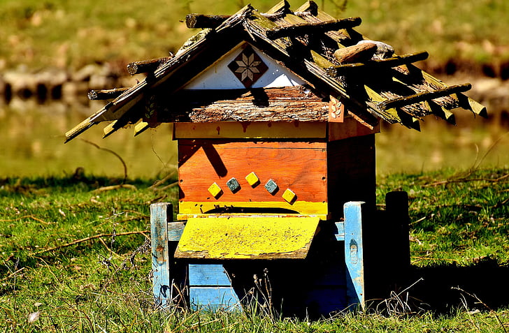 beehive, bees, wood, colorful, wildpark poing, agriculture, field