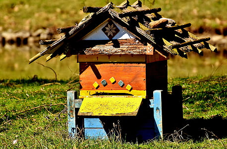 Bijenkorf, bijen, hout, kleurrijke, Wildpark poing, landbouw, veld