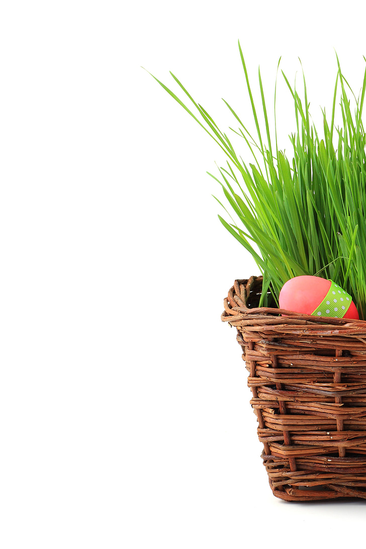 Cestino, celebrazione, decorazione, Pasqua, uovo, uova, erba