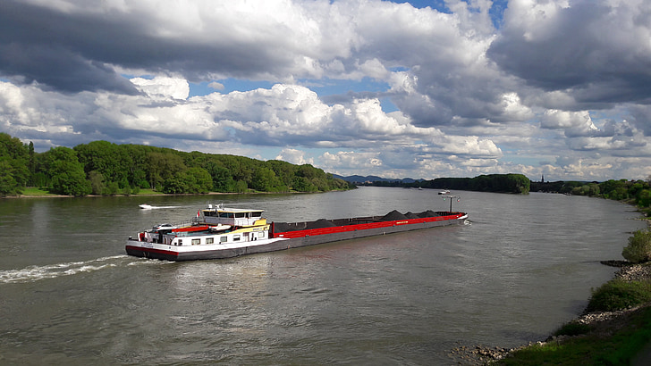 skipet, Rhinen, frakt, natur, elven, vann, transport