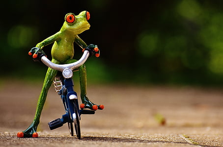 granota, bicicleta, divertit, valent, dolç, figura, unitat