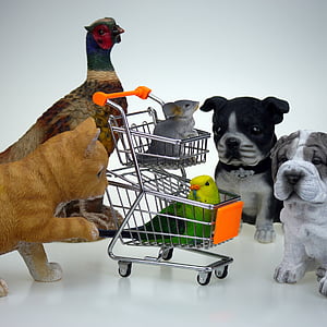 Nakupování, obchod, zvířata, obchodní, nákupní košíky