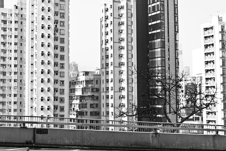 infrastructure, gratte-ciel, Hong kong, Chine, toit, échafaudage, Appartements