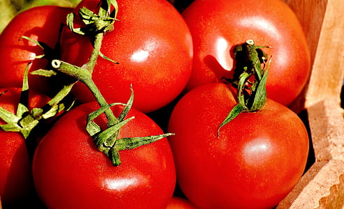 tomater, grønnsaker, bøtte, moden, rød, sunn, natur