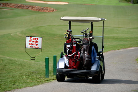 carrinho de golfe, transporte, sacos de golfe, clubes, sinal, verdes, grama
