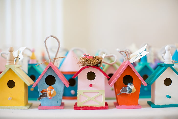 gave, hus, keepsakes, Birdhouse, fuglen, dekorasjon, dyr reir