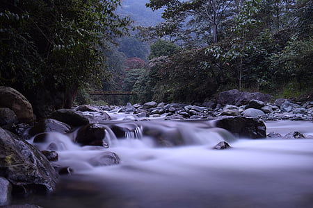 Ποταμός, Κάλι, Κολομβία, jamundí, Φυτικό Βασίλειο, Όμορφο, δέντρα