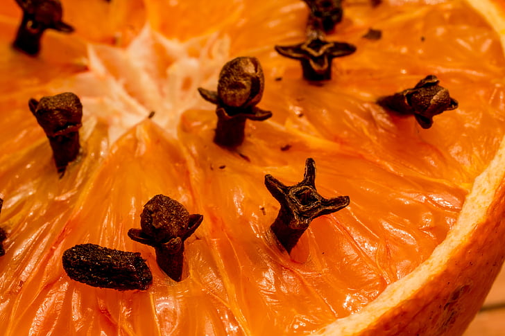 kivert narancs, szegfűszeg, Syzygium aromaticum, fűszer, szúnyogriasztó, Karácsony, szoba illat