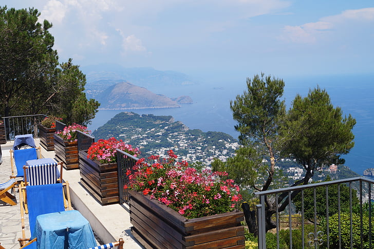 Włochy, krajobraz, Capri, morze, Latem, Natura, kwiat