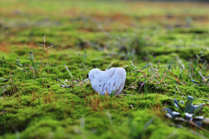 stone, stone heart, heart, moss, mossy, ground, green