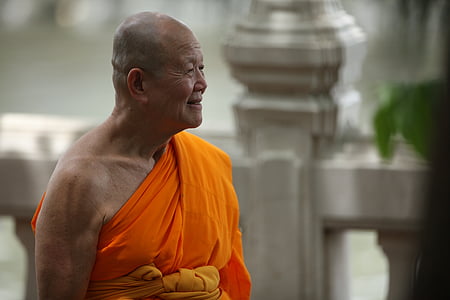 budistični, Tajska, menih, tradicijo, slovesnosti, oranžna, plašč