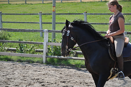 horse, stallion, rap, black, gallop, reiter, riding space