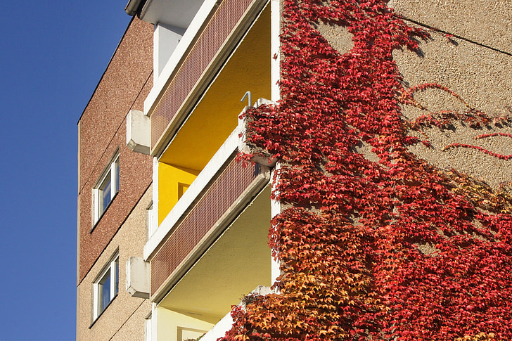 Sachsen, Leipzig, bostadshus, ny byggnad, grönare, hösten, balkong