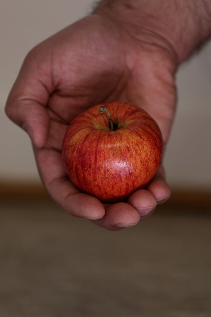 Apple, frukt, röd, friska, händer, naturliga