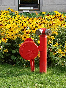 hidrants, hidrantu, statīva cauruļu, ūdens hidrantu, puķes, ziedu, augi