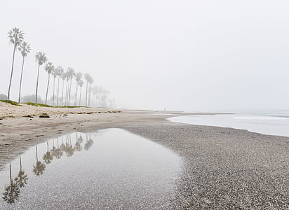 Seashore, v blízkosti zariadenia:, Kokos, stromy, Dĺžka, prší, zamračené