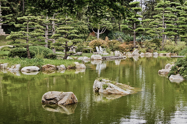 Japoniškas sodas, ežeras, vandens, fono paveikslėlis, parkas, žalia, tylus