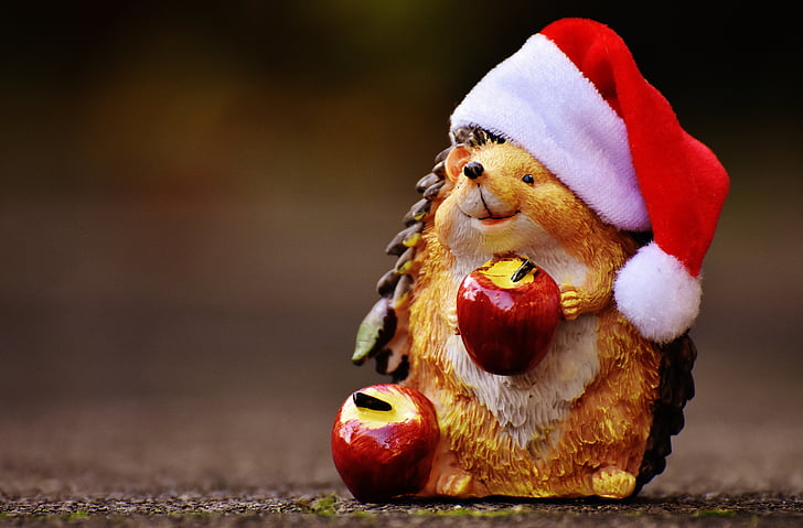 porco-espinho, Figura, Natal, chapéu de Papai Noel, decoração, engraçado, animal